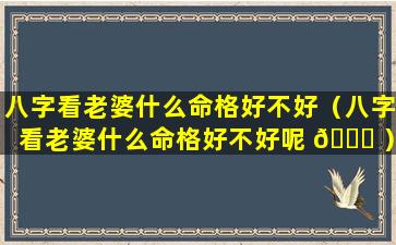 八字看老婆什么命格好不好（八字看老婆什么命格好不好呢 🐅 ）